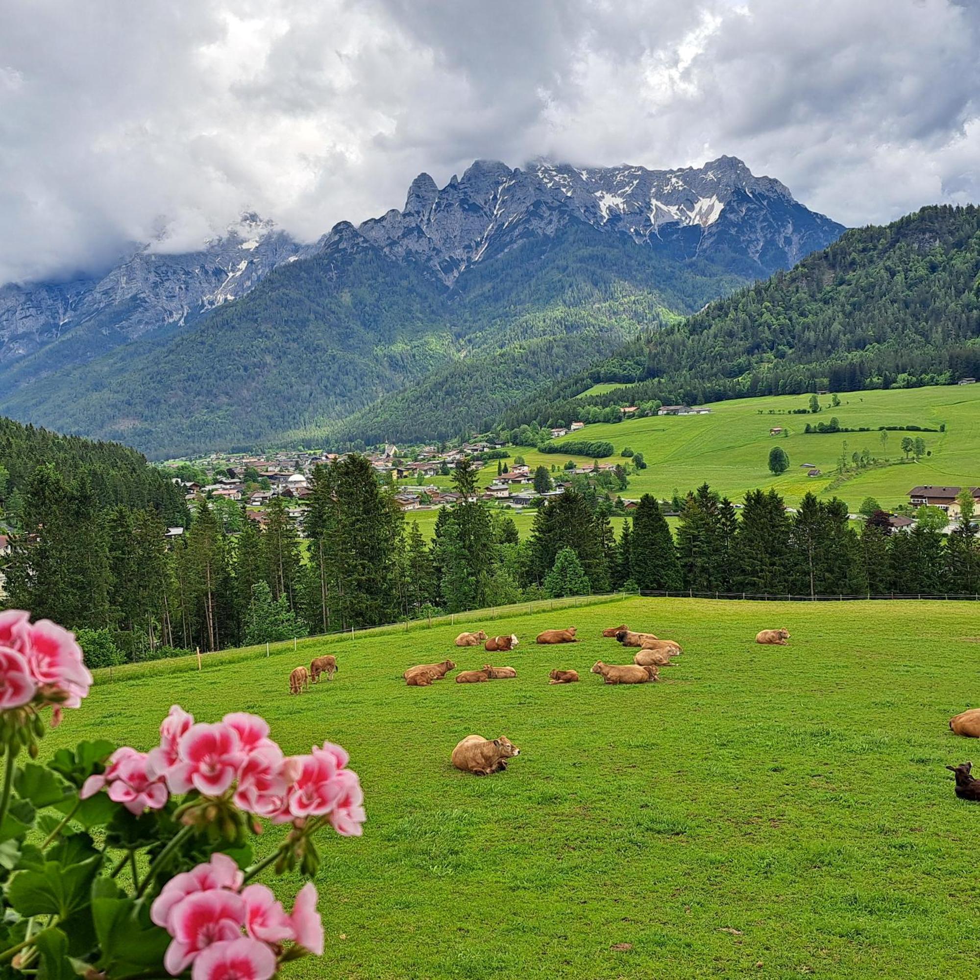 Bommerhof Вайдринг Экстерьер фото