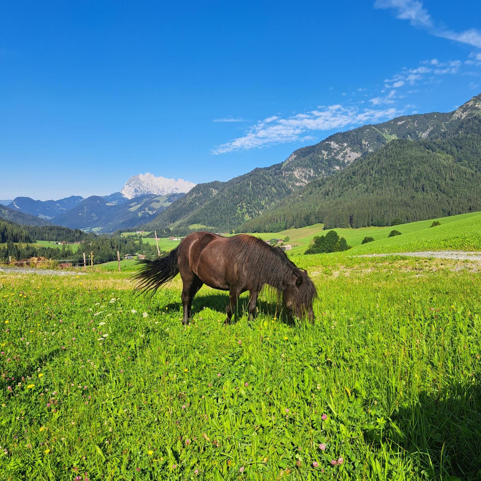 Bommerhof Вайдринг Экстерьер фото